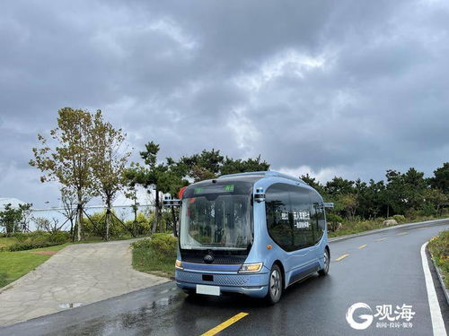 乘坐自動駕駛公交車是什么體驗？這20人在青島嘗鮮智能交通